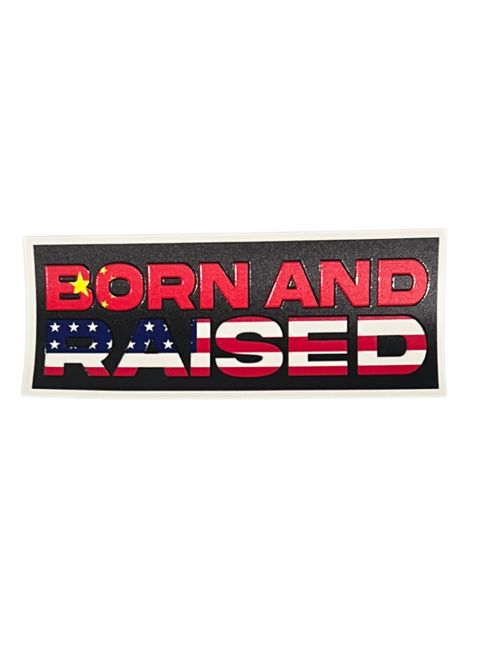 Born and Raised (China x USA)