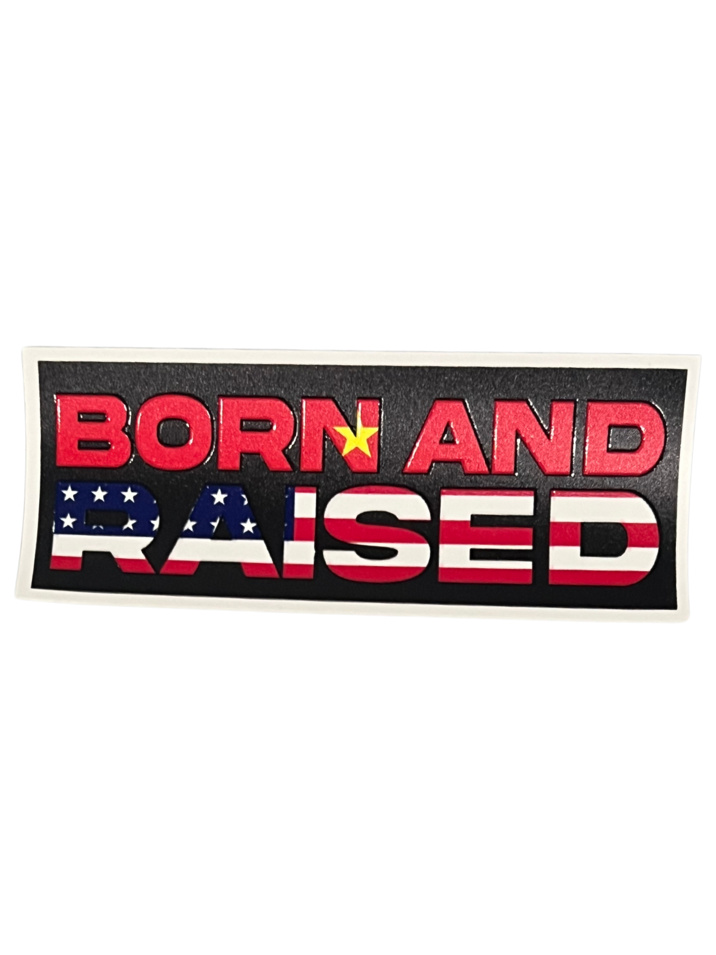 Born and Raised (Vietnam x USA)